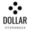 Dollar Hydrangea