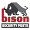 Bison Security Posts
